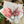 Dried Bouquets - Option 1