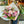 Mother's Day Bouquets - Florist’s Choice