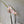Double Soft Pink Phalaenopsis Orchid (Medium plant)