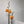 Double Orange Phalaenopsis Orchid (Medium plant)