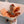 Dried bouquet - Option 2 - The Botanist Florist