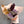 Dried bouquet - Option 4 - The Botanist Florist