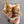 Dried bouquet - Option 3 - The Botanist Florist