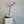 Large soft pink orchid plant